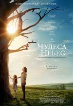 Miracles from Heaven