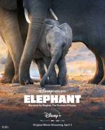 Documentary